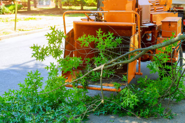 Soil Testing and Treatment in Northwest Ithaca, NY